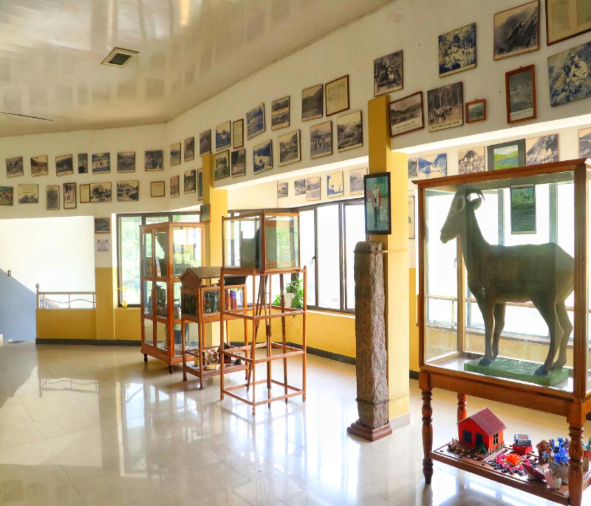 Ac Mist Hotel Munnar Ngoại thất bức ảnh